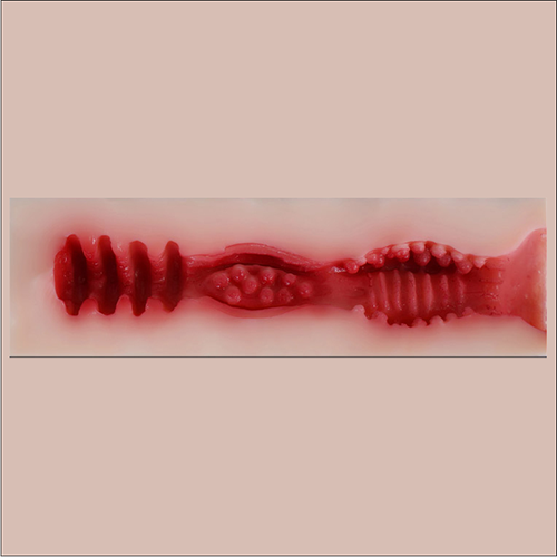 Soft inner vagina